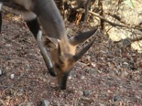 Marion, Romane South Africa 2014 (12 of 19) : KNP Letaba, Marion visit